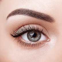 Brows and lashes